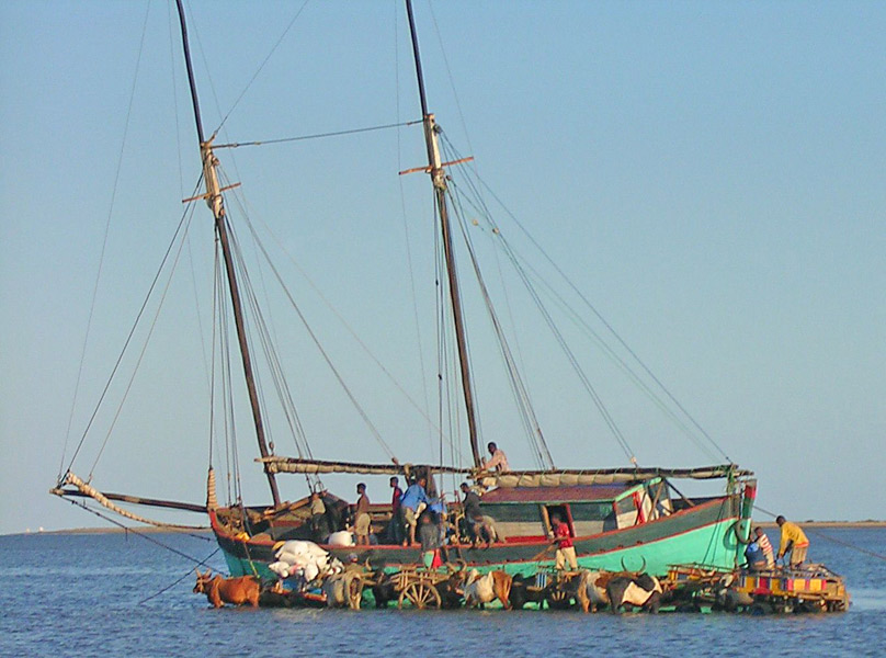 Pêcheurs malgaches en pleine action